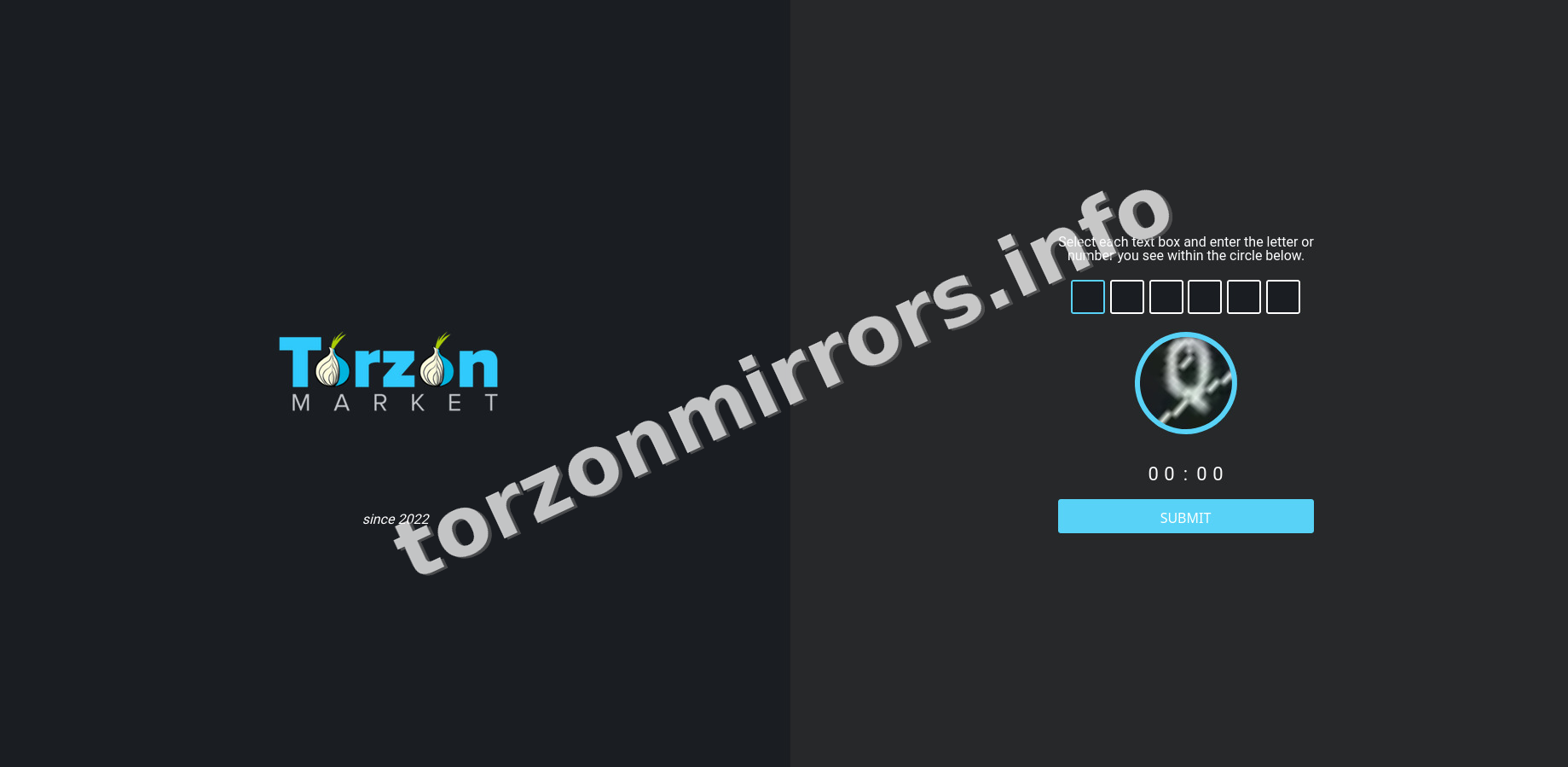 Torzon Market Mirrors interface — view 1
