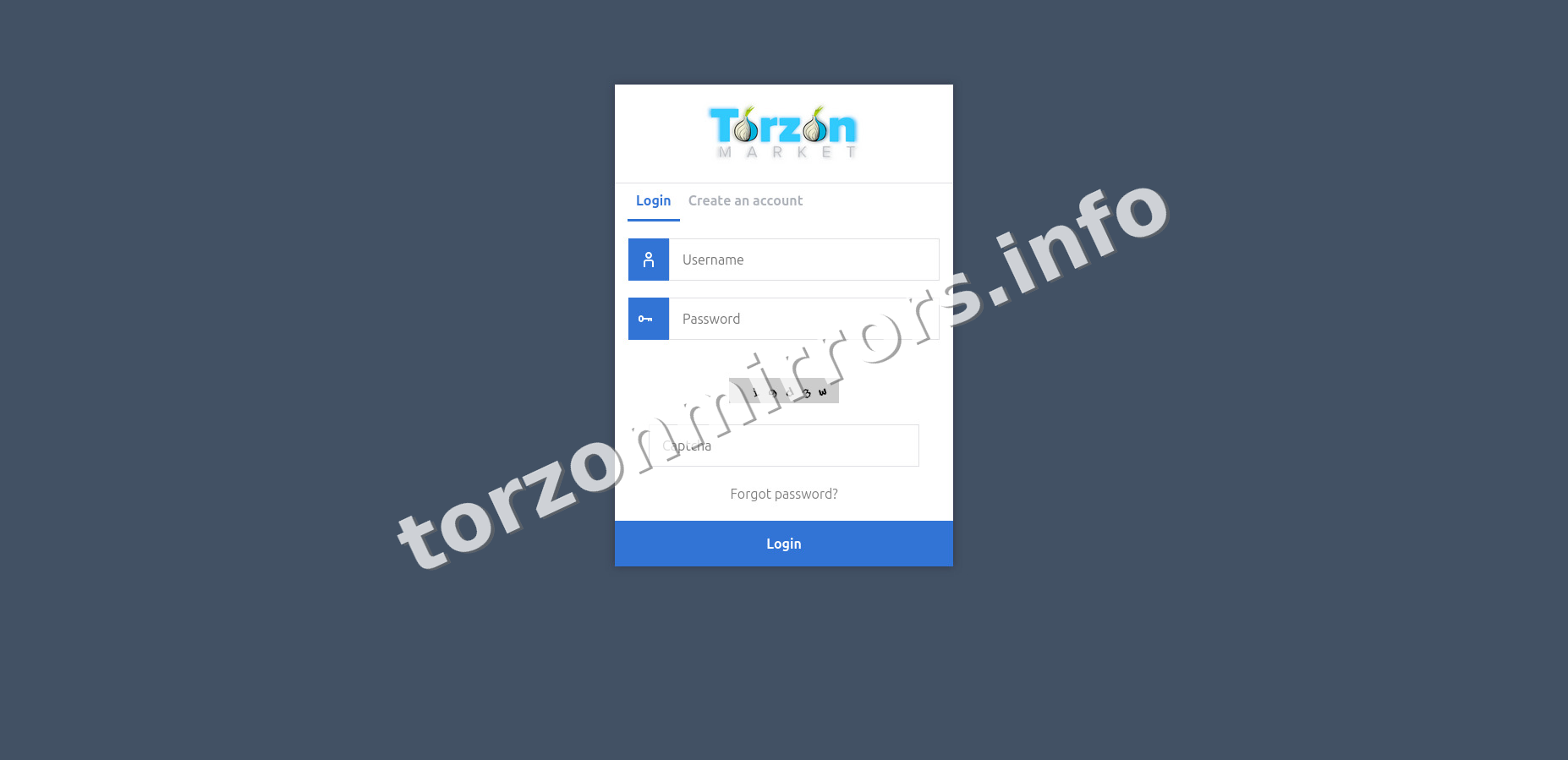 Torzon Market Mirrors interface — view 3